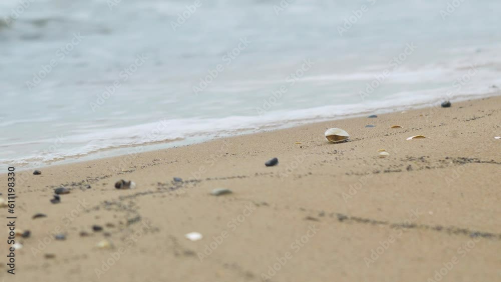 Seashells on the white sand beach in summer, calm waves, Baltic sea coastline, summer vacation, relaxation, ocean, travel concept, low medium shot Seashells on the white sand beach in summer, calm waves, Baltic sea coastline, summer vacation, relaxation, ocean, travel concept, low medium shot