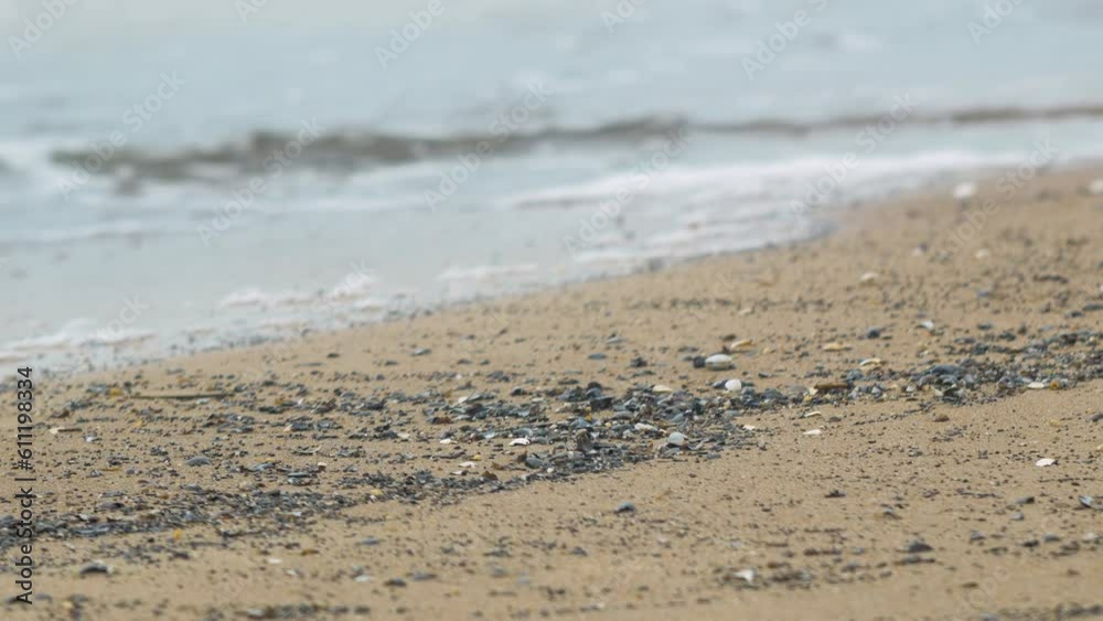 Seashells on the white sand beach in summer, calm waves, Baltic sea coastline, summer vacation, relaxation, ocean, travel concept, low medium shot Seashells on the white sand beach in summer, calm waves, Baltic sea coastline, summer vacation, relaxation, ocean, travel concept, low medium shot