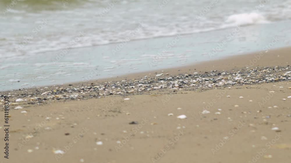 Seashells on the white sand beach in summer, calm waves, Baltic sea coastline, summer vacation, relaxation, ocean, travel concept, medium shot Seashells on the white sand beach in summer, calm waves, Baltic sea coastline, summer vacation, relaxation, ocean, travel concept, medium shot