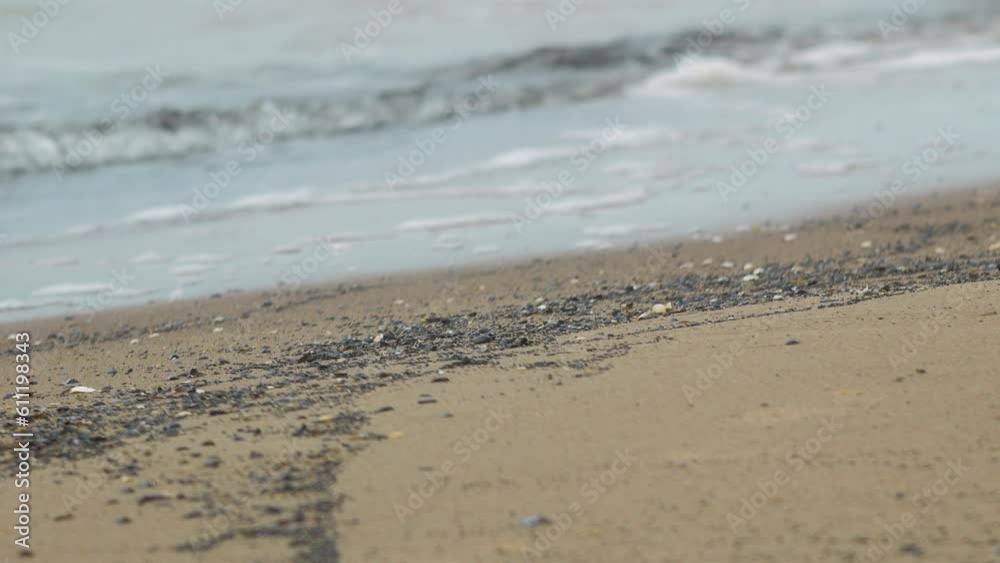 Seashells on the white sand beach in summer, calm waves, Baltic sea coastline, summer vacation, relaxation, ocean, travel concept, medium shot Seashells on the white sand beach in summer, calm waves, Baltic sea coastline, summer vacation, relaxation, ocean, travel concept, medium shot