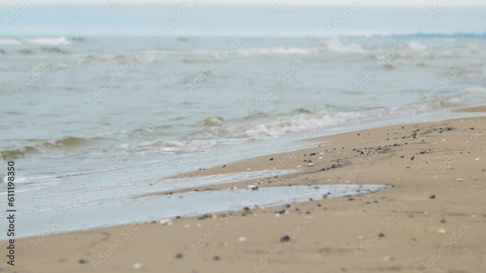 Seashells on the white sand beach in summer, calm waves, Baltic sea coastline, summer vacation, relaxation, ocean, travel concept, low medium wide shot Seashells on the white sand beach in summer, calm waves, Baltic sea coastline, summer vacation, relaxation, ocean, travel concept, low medium wide shot