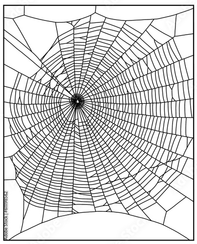 detailed and intricate spider web
