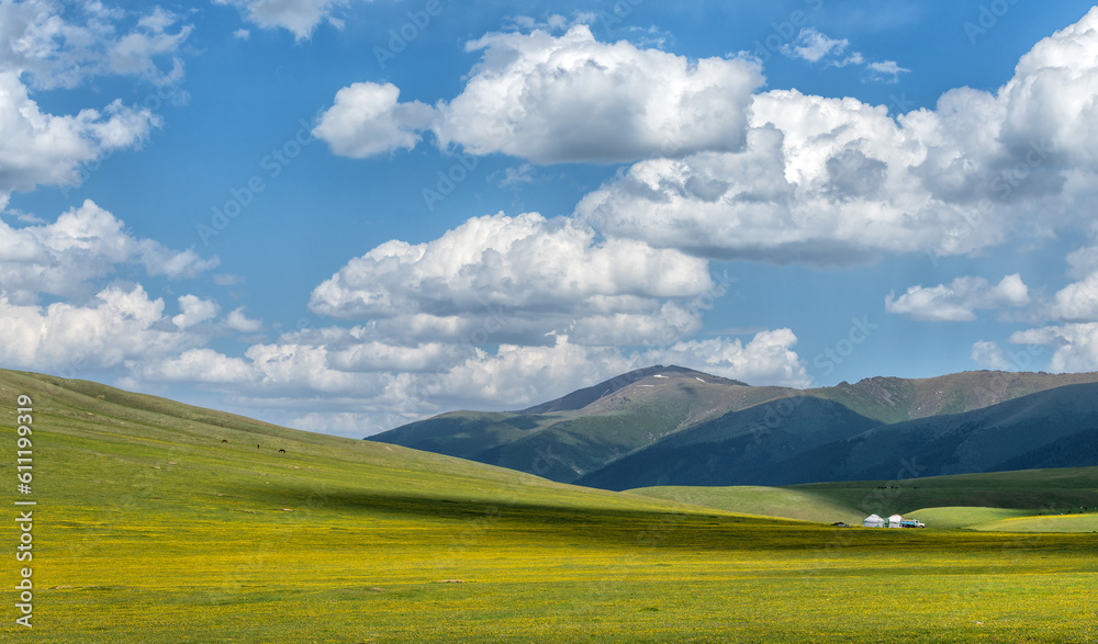 Picturesque alpine meadow on a summer day Picturesque alpine meadow on a summer day