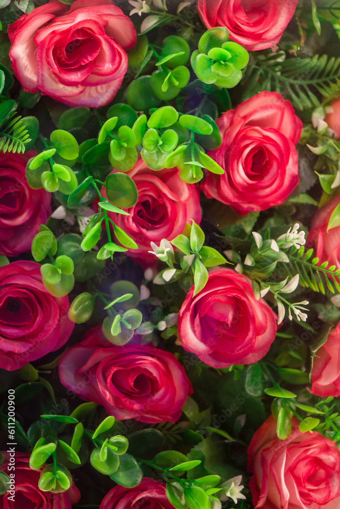 Fototapeta premium red roses with leaf background, Flowers wall background