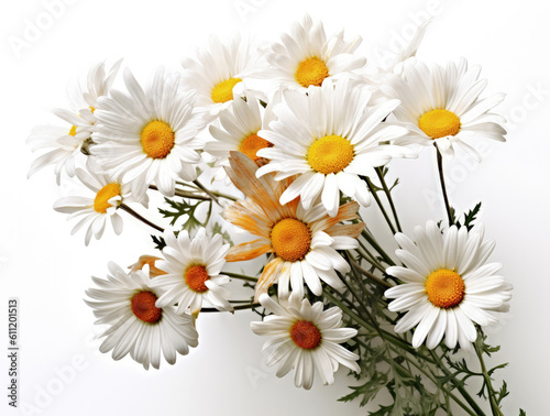 Bouquet of daisies flowers closeup on white