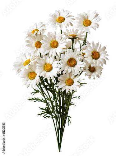 Bouquet of daisies flowers on white