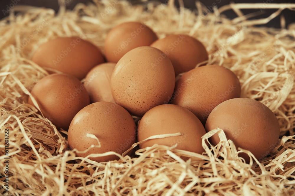 Fresh eggs in a straw nest