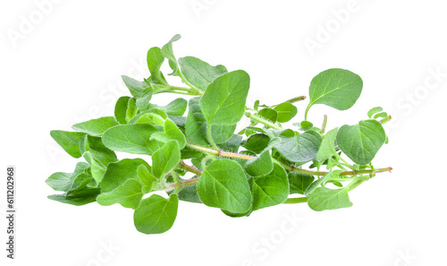 fresh oregano herb on transparent png