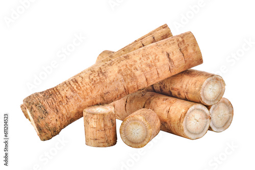 Burdock roots on transparent png