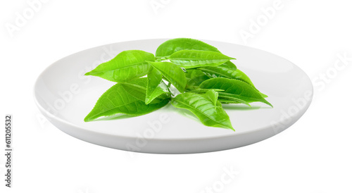 tea leaf in a plate isolated on transparent png