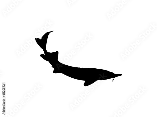 Beluga Sturgeon or Huso Fish Silhouette, Fish Which Produce Premium and Expensive Caviar, For Logo Type, Art Illustration, Pictogram, Apps, Website or Graphic Design Element. Vector Illustration