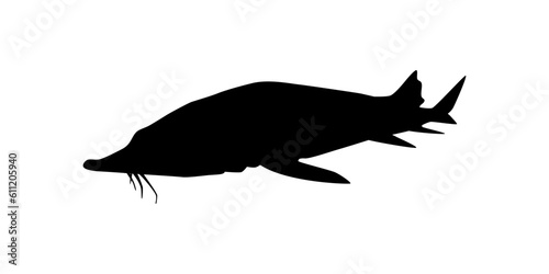 Beluga Sturgeon or Huso Fish Silhouette  Fish Which Produce Premium and Expensive Caviar  For Logo Type  Art Illustration  Pictogram  Apps  Website or Graphic Design Element. Vector Illustration