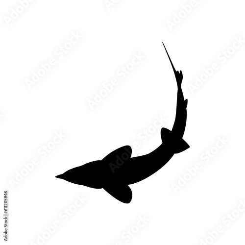 Beluga Sturgeon or Huso Fish Silhouette, Fish Which Produce Premium and Expensive Caviar, For Logo Type, Art Illustration, Pictogram, Apps, Website or Graphic Design Element. Vector Illustration