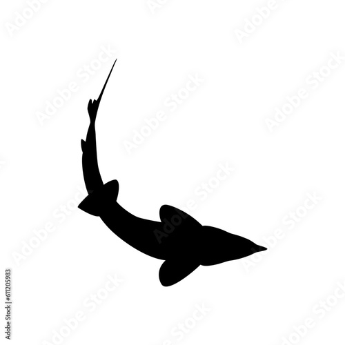 Beluga Sturgeon or Huso Fish Silhouette, Fish Which Produce Premium and Expensive Caviar, For Logo Type, Art Illustration, Pictogram, Apps, Website or Graphic Design Element. Vector Illustration