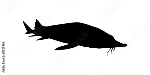 Beluga Sturgeon or Huso Fish Silhouette, Fish Which Produce Premium and Expensive Caviar, For Logo Type, Art Illustration, Pictogram, Apps, Website or Graphic Design Element. Vector Illustration