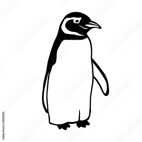 Cute Northern Penguin. Monochrome vector illustration. Realistic polar animal