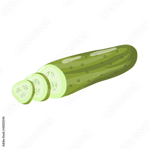 Vector green cucumber with slices, vector vegetable isolated on white background