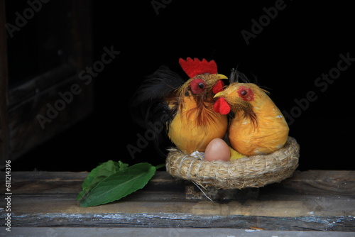 chicken and eggs