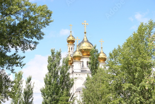 domes of the church