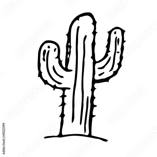 hand drawn vector illustration of cactus