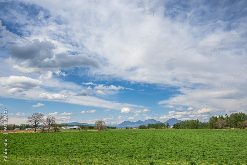 雄大な北の大地 一面に広がる牧草地と大空 雄大な北の大地 一面に広がる牧草地と大空