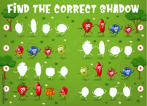 Cartoon berry characters on the summer meadow. Find the correct shadow game worksheet, vector logical riddle with strawberry, blueberry and rosehip, raspberry and cloudberry, gooseberry personages