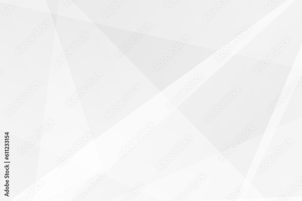 Fototapeta premium Abstract white and grey on light silver background modern design. Vector illustration EPS 10.