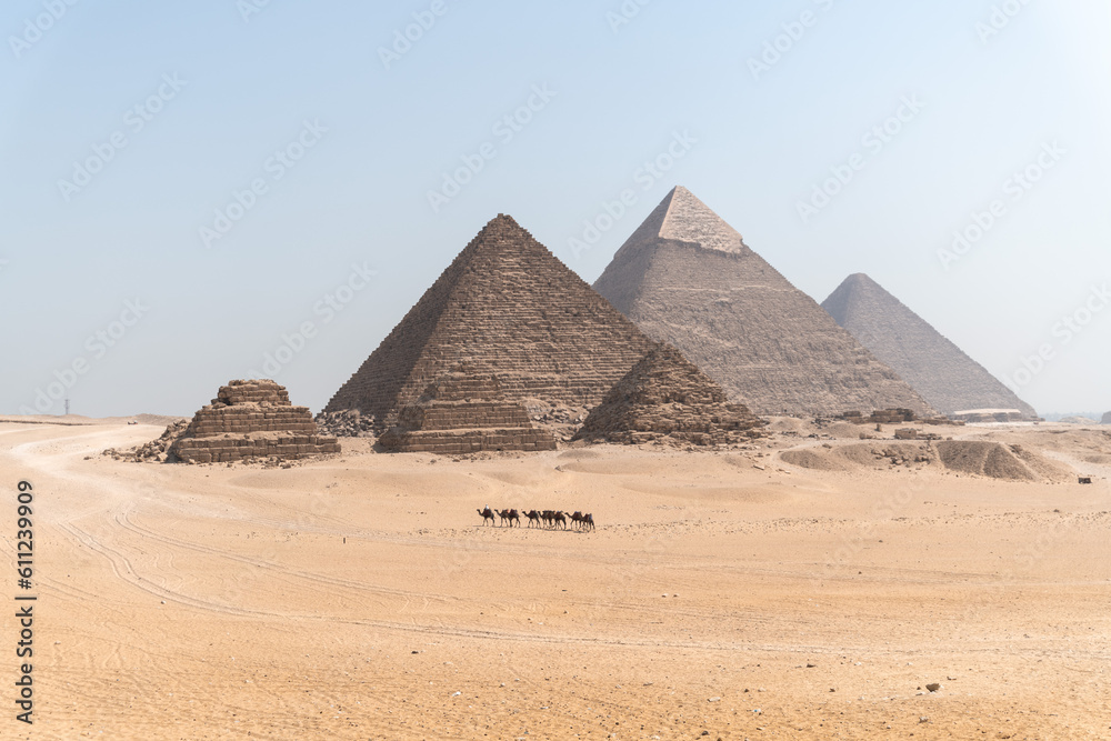Pyramids of giza with camels in far distance Pyramids of giza with camels in far distance