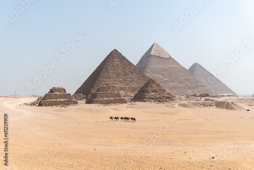 Pyramids of giza with camels in far distance