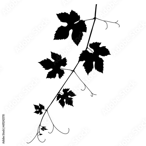 grape leaf silhouette