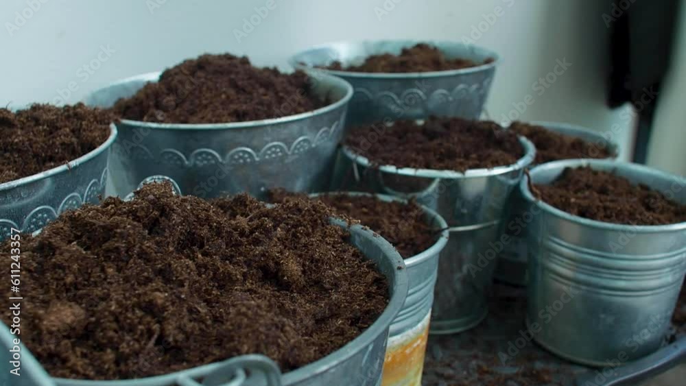 The pots filled with soil are being sprayed with water, ensuring adequate hydration for the soil and the plants within. The pots filled with soil are being sprayed with water, ensuring adequate hydration for the soil and the plants within.