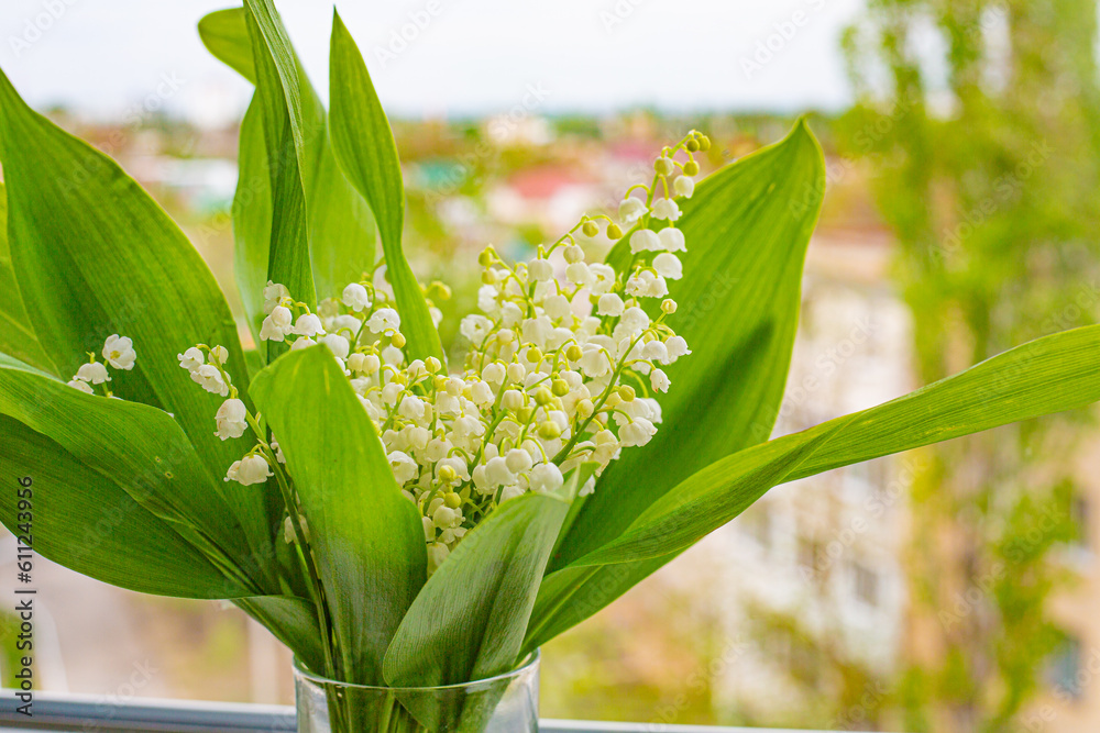 Obraz premium lily of the valley