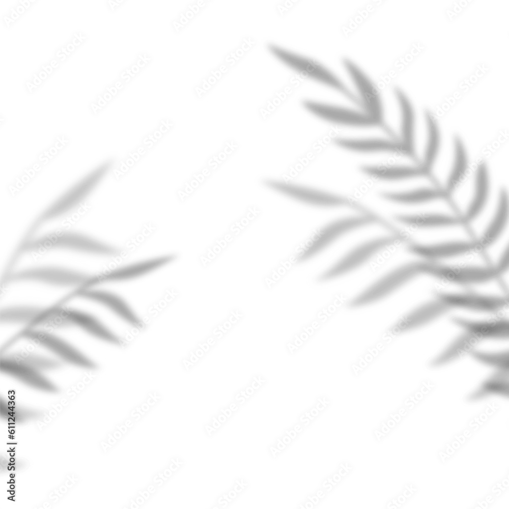 Shadow from tropical leaves. Tropical leaves silhouette in defocus. Mocap template design