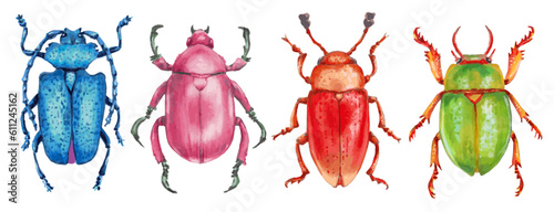 Set of insect beetles. Animal beetles are blue, pink, orange, green. Glossy surface. Entomology, the study of insects. Hand drawn illustration with markers.