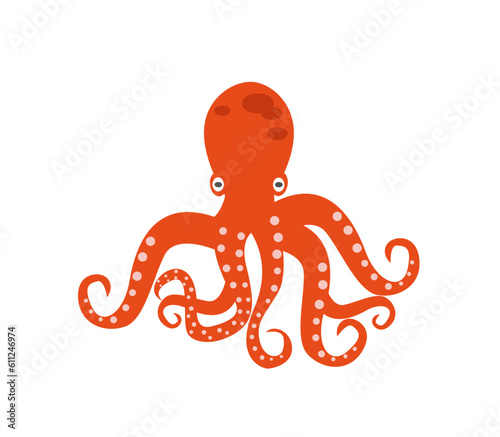 Isolated octopus on white background
