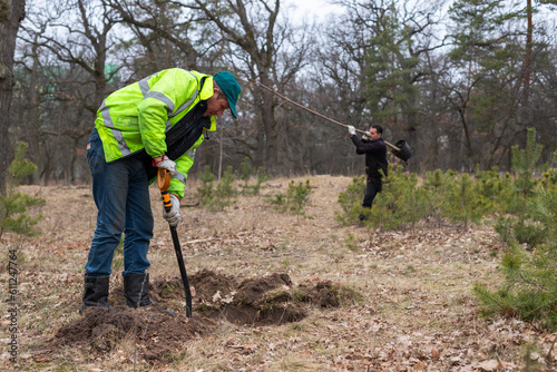 Volunteers or gardeners plant a tree and dig a hole with a shovel in the old park.