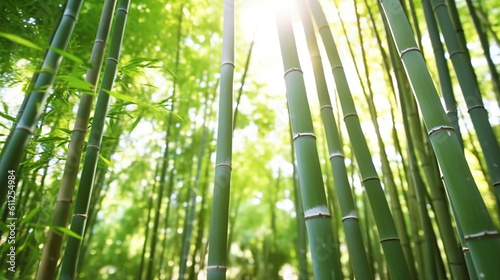 Bamboo forest in the morning. Generative Ai