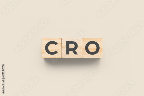 CRO (Chief Risk Officer) wooden cubes on cream background © epsilomo