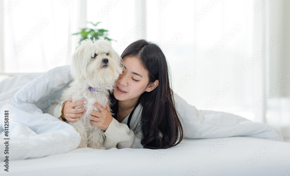 Asian young happy cheerful female owner laying lying down smiling hugging cuddling embracing best friend companion dog white long hair mutt shih tzu under blanket on bed together in bedroom at home Asian young happy cheerful female owner laying lying down smiling hugging cuddling embracing best friend companion dog white long hair mutt shih tzu under blanket on bed together in bedroom at home