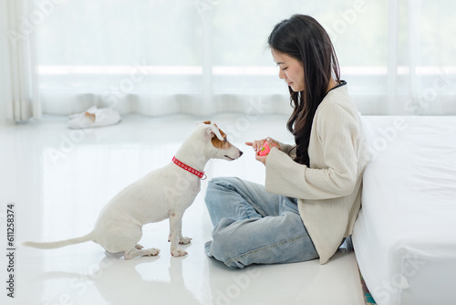 Quadro em tela Asian young happy cheerful female owner sitting smiling on floor using squeezing