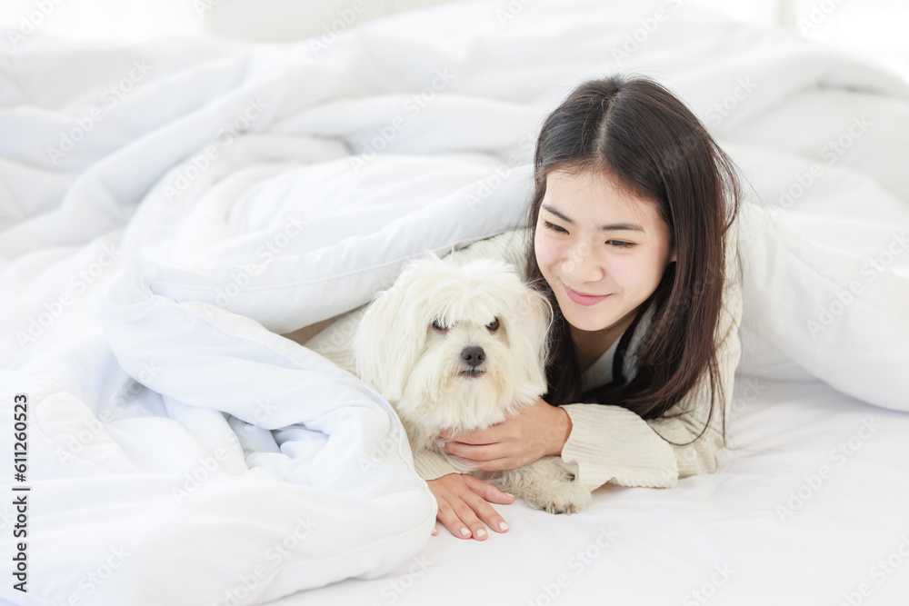Asian young happy cheerful female owner laying lying down smiling hugging cuddling embracing best friend companion dog white long hair mutt shih tzu under blanket on bed together in bedroom at home Asian young happy cheerful female owner laying lying down smiling hugging cuddling embracing best friend companion dog white long hair mutt shih tzu under blanket on bed together in bedroom at home