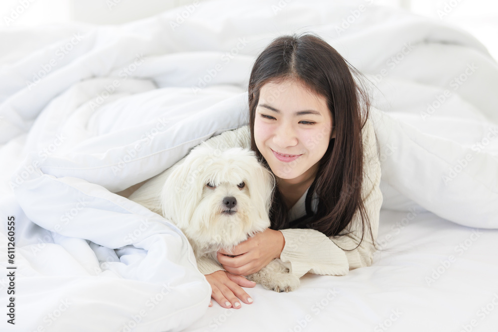Asian young happy cheerful female owner laying lying down smiling hugging cuddling embracing best friend companion dog white long hair mutt shih tzu under blanket on bed together in bedroom at home Asian young happy cheerful female owner laying lying down smiling hugging cuddling embracing best friend companion dog white long hair mutt shih tzu under blanket on bed together in bedroom at home