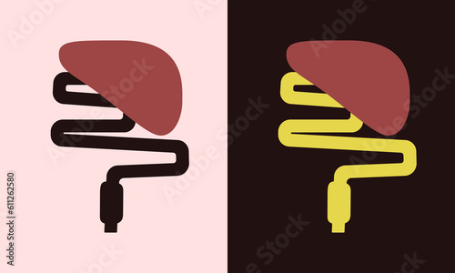 Flat simple style minimal illustration of human liver and small intestine on a light and dark background