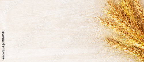 Ripe yellow wheat, on a background of a white wooden surface. Intended for a greeting card for the holiday of Shavuot, with free space for text