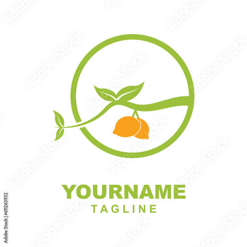 Citrus flat vector icon. Lemon, orange flat vector icon, brand company