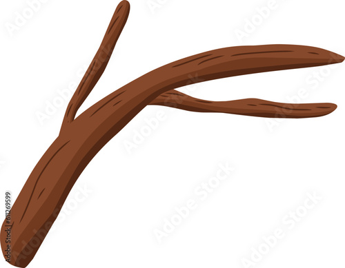 tree branches isolated on white background