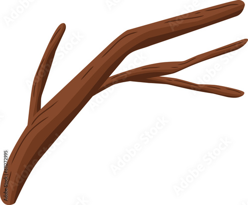 wooden tree branches on isolated background