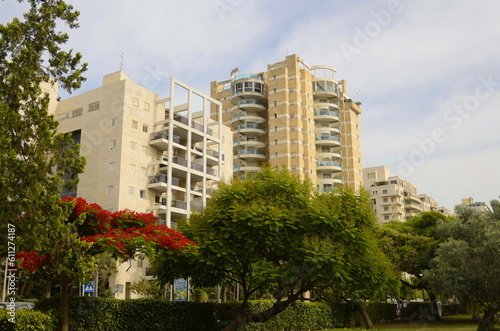 Residential real estate in Israel. Balcony in a modern house. Flowering tree, nice view from the window. Royal poinciana (Delonix regia)
