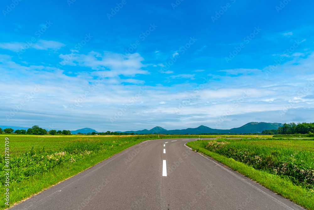 Rural asphalt road among the fields in summer season Rural asphalt road among the fields in summer season
