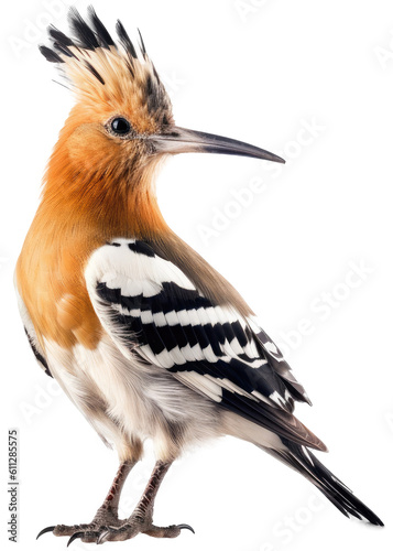 hoopoe bird isolated on white background as transparent PNG, generative AI animal